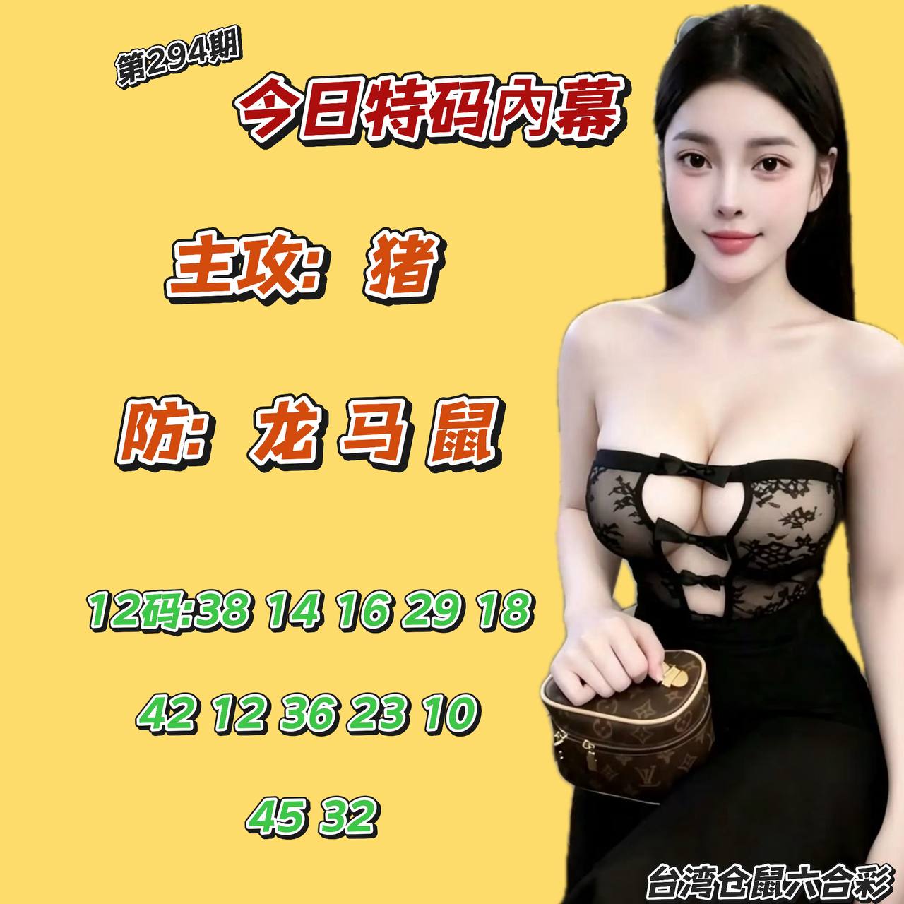 第294期