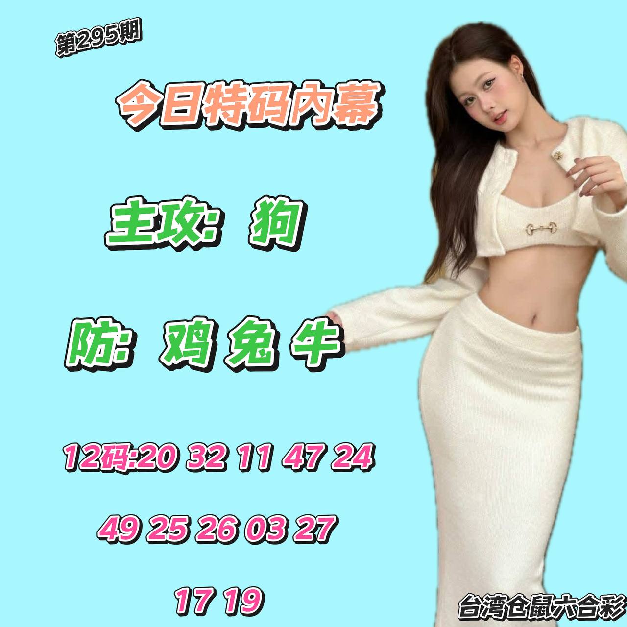 第295期